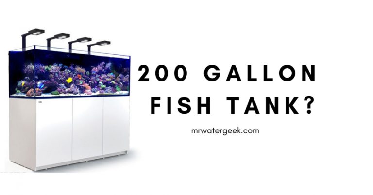 200 Gallon Fish Tank Review