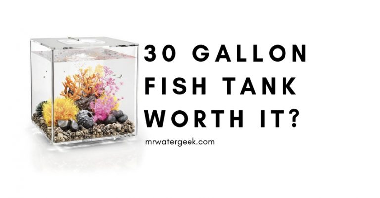 30 Gallon Fish Tank Review