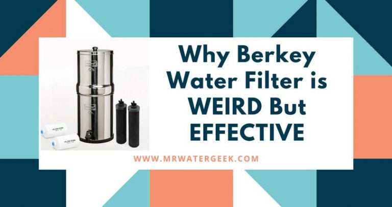 Reasons Why The Berkey Water Filter is WEIRD But EFFECTIVE